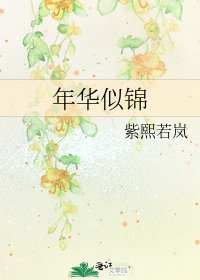 《年华似锦》