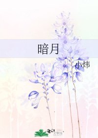 《暗月》