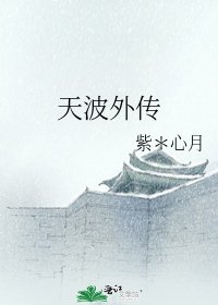 《天波外传》