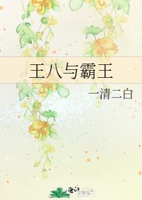 《王八与霸王》