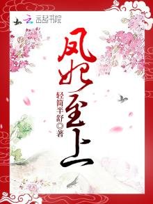 《凤妃至上》