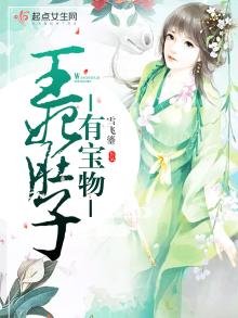 《王妃肚子有宝物》