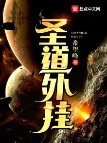 《圣道外挂》