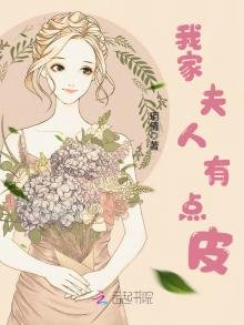 《我家夫人有点皮》