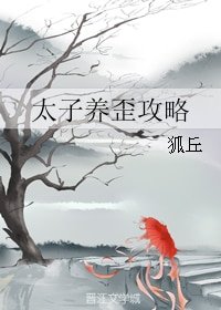 《(综同人)太子养歪攻略》