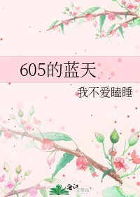 《605的蓝天》