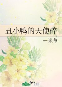 《丑小鸭的天使碎》