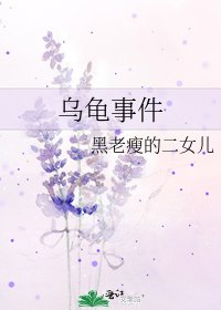 《乌龟事件》