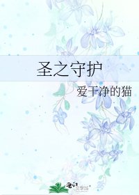 《圣之守护》