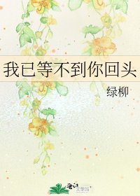 《我已等不到你回头》