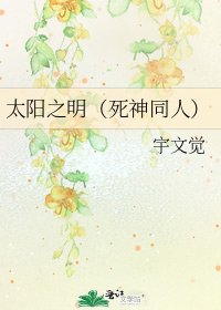 《太阳之明(死神同人)》