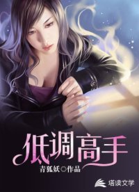 《低调高手》