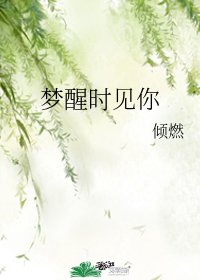 《梦醒时见你》