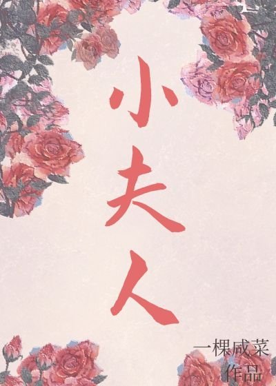 《小夫人》