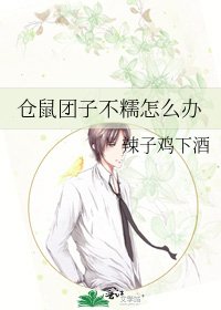 《仓鼠团子不糯怎么办》