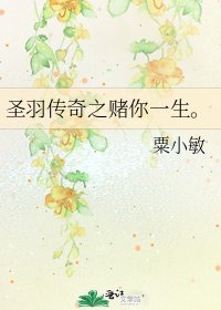 《圣羽传奇之赌你一生。》