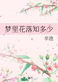 《梦里花落知多少》