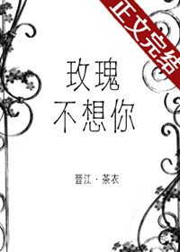 《玫瑰不想你》