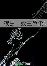 《夜昙一敛三色尘》
