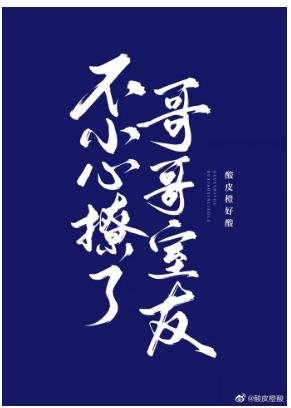 《不小心撩了哥哥的室友》
