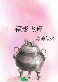 《镜影飞翔》