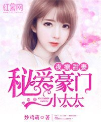 《夜撩甜妻:秘爱豪门小太太/秘爱豪门小太太》