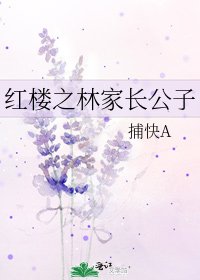 《红楼之林家长公子》