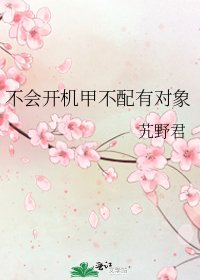 《不会开机甲不配有对象》