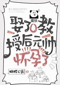 《娶了o教授后元帅怀孕了》