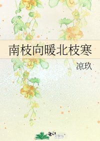 《南枝向暖北枝寒》