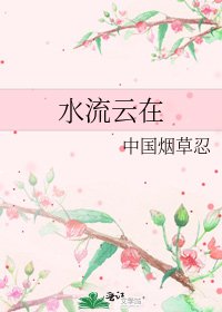《水流云在》