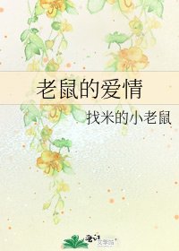 《老鼠的爱情》