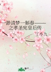 《一渺清梦一斛春———之孝圣宪皇后传》