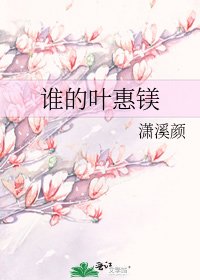 《谁的叶惠镁》