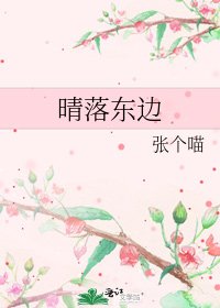 《晴落东边》