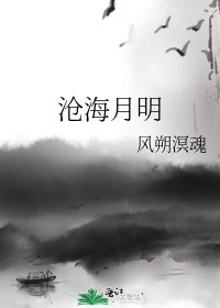 《沧海月明》