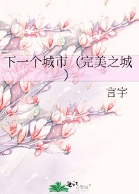 《下一个城市(完美之城)》