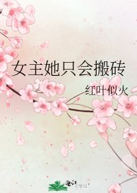 《女主她只会搬砖》