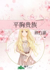 《平胸贵族》