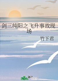 《剑三纯阳之飞升事故现场》