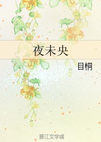 《夜未央》
