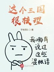 《这个三国很核理》