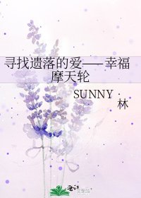 寻找遗落的爱——幸福摩天轮