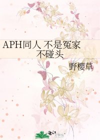 《APH同人 不是冤家不碰头》