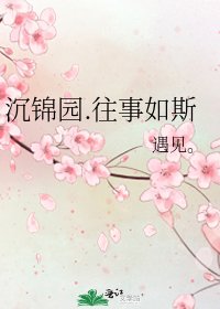 《沉锦园.往事如斯》