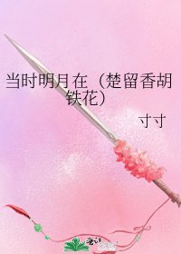 《当时明月在(楚留香胡铁花)》