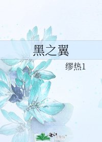 《黑之翼》