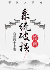 系统破损指南
