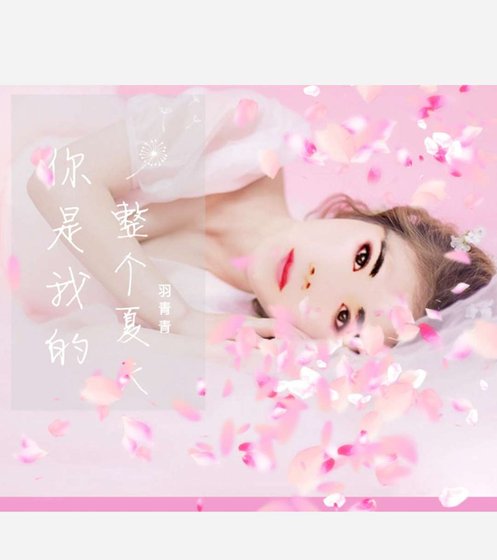 你是我的整个夏天