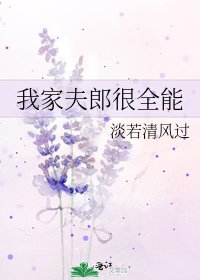 《我家夫郎很全能》